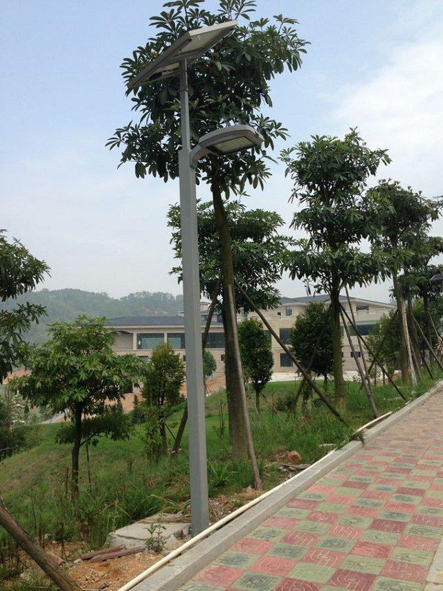 工程案例